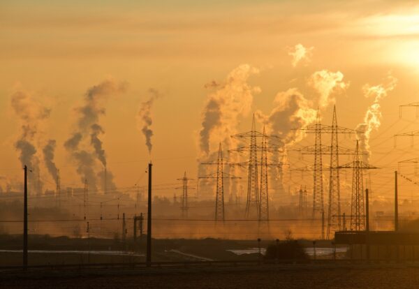 medio ambiente, Procelec Energy, The Red Burger, huella de carbono